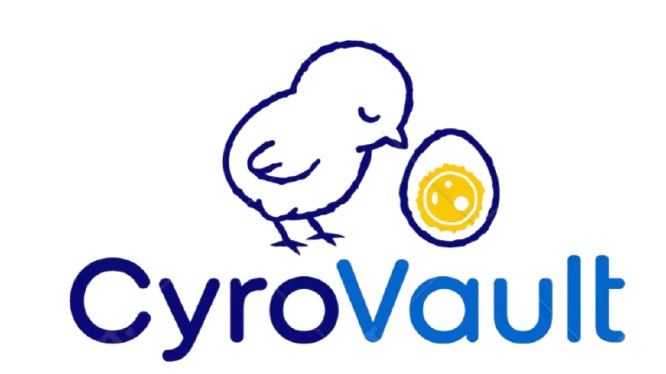 cyrovault logo, Fortune ogundele Idunu Tech